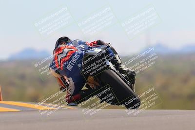 media/Oct-09-2022-SoCal Trackdays (Sun) [[95640aeeb6]]/Turn 9 Backside (120pm)/